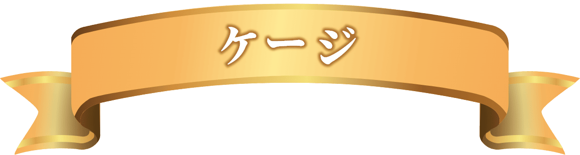 ゲージ