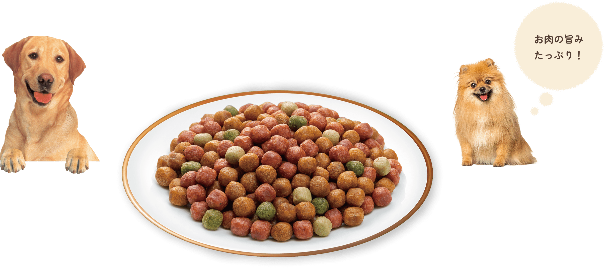 お肉の旨みたっぷり！