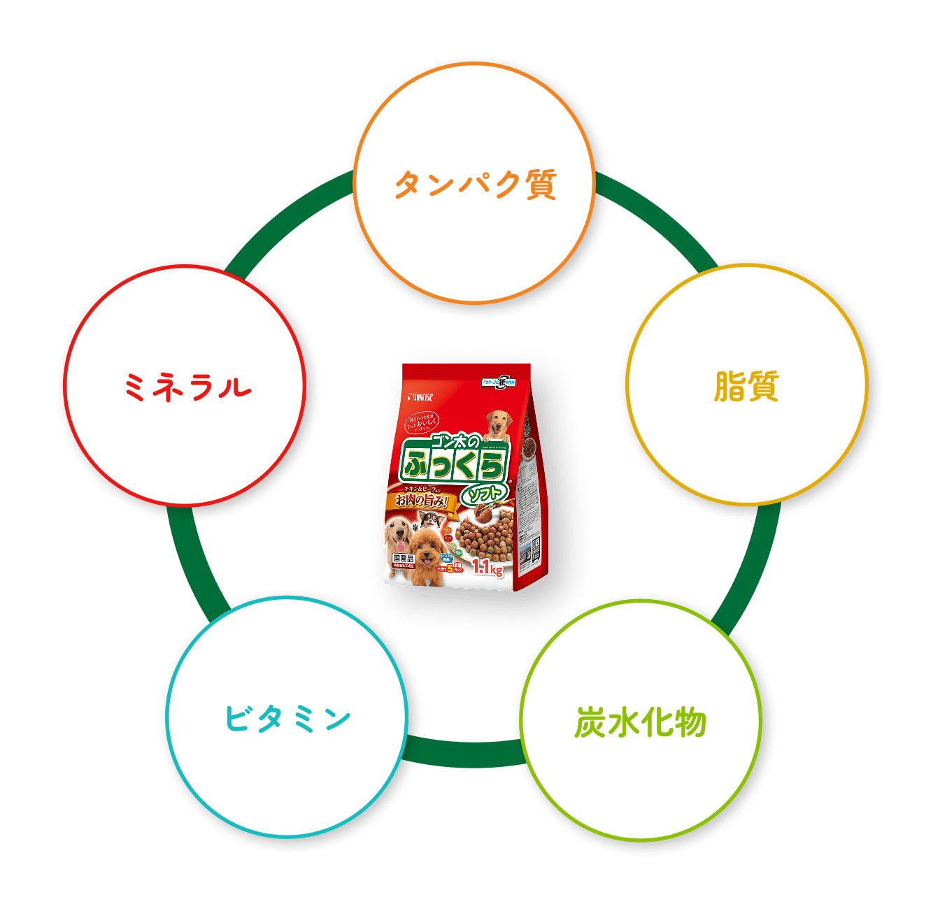 タンパク質 脂質 炭水化物 ビタミン ミネラル