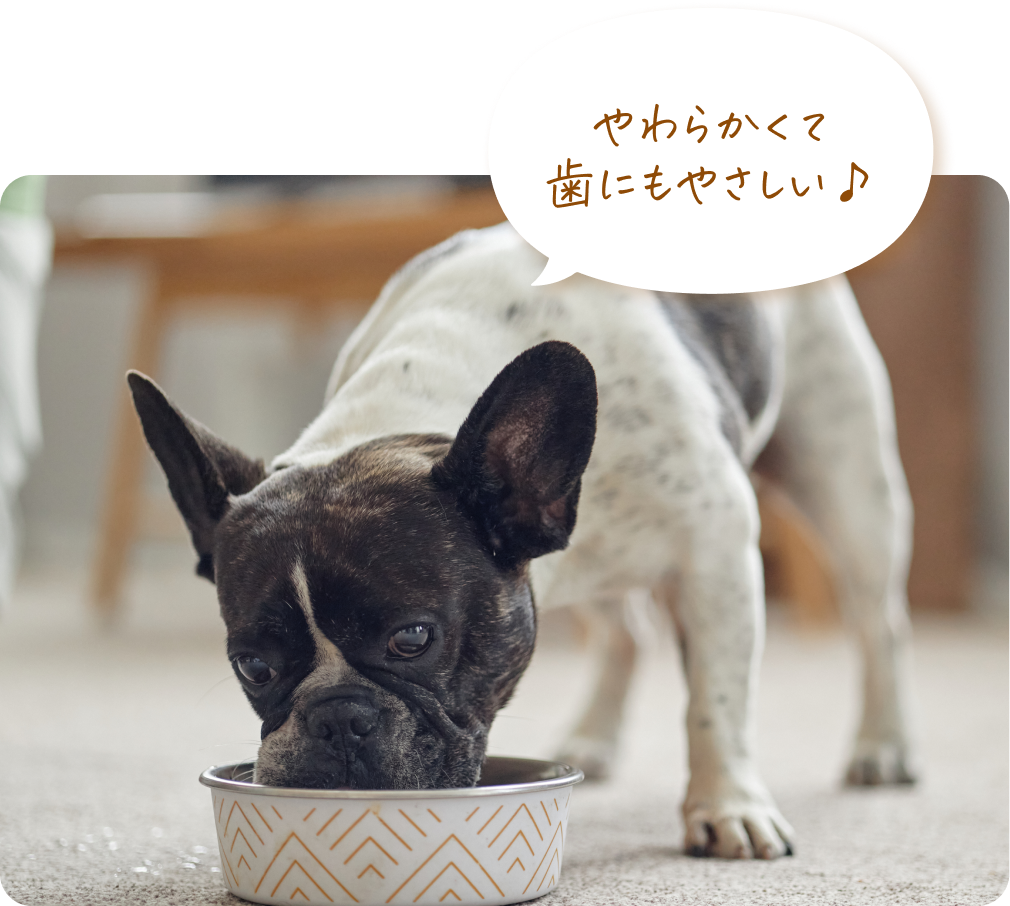 やわらかくて歯にもやさしい♪