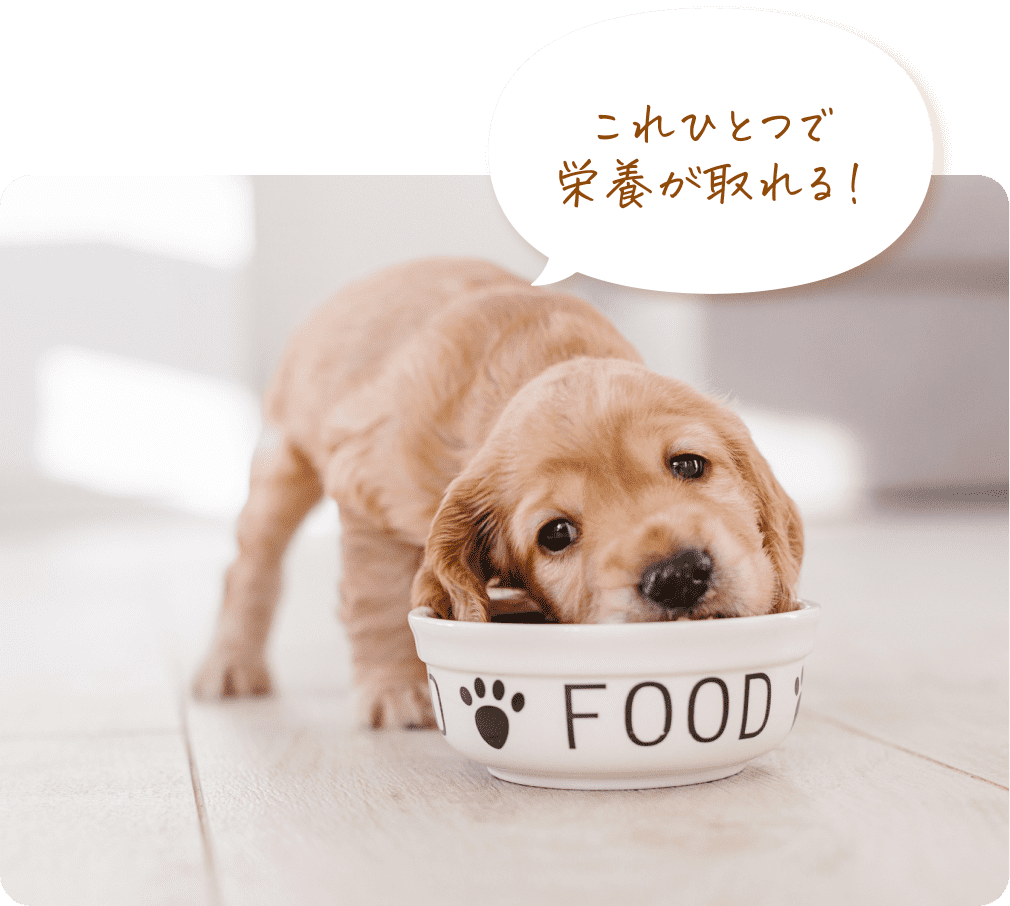 これひとつで 栄養が取れる！