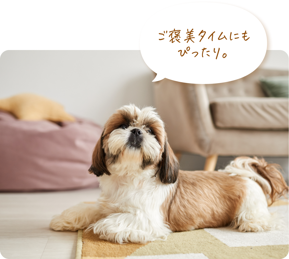 ご褒美タイムにもぴったり。