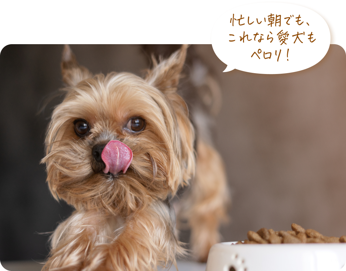 忙しい朝でも、これなら愛犬もペロリ！