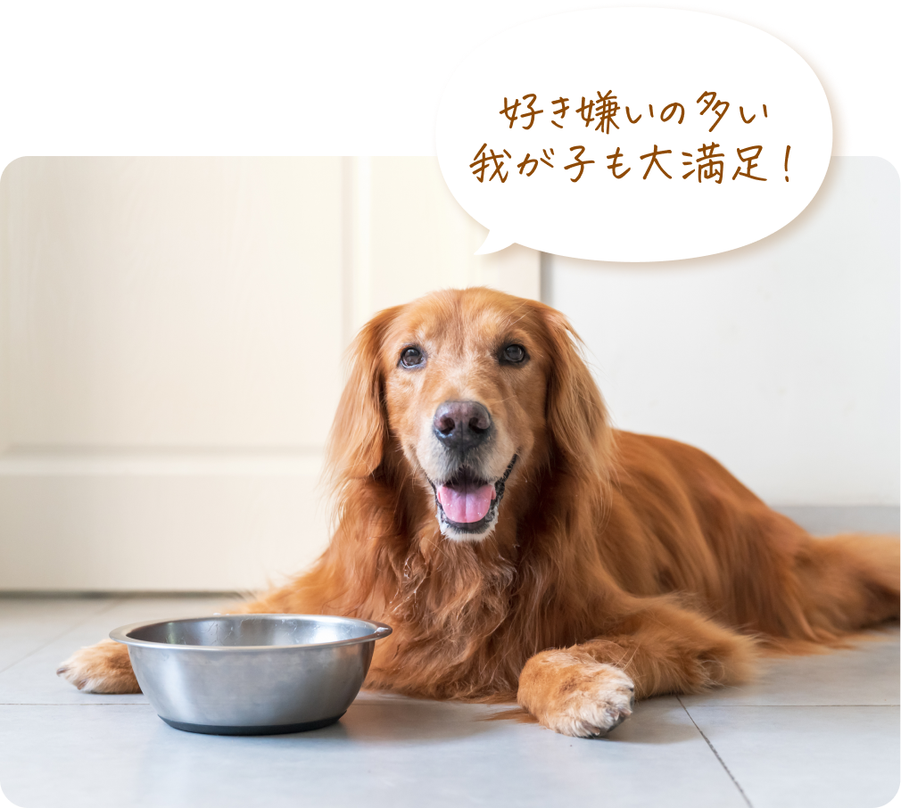 好き嫌いの多い我が子も大満足！