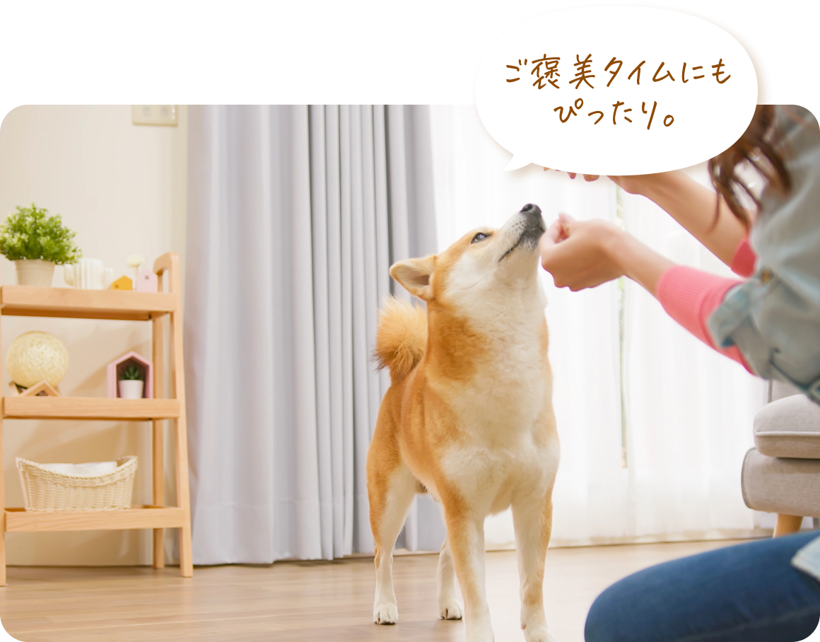 ご褒美タイムにもぴったり。