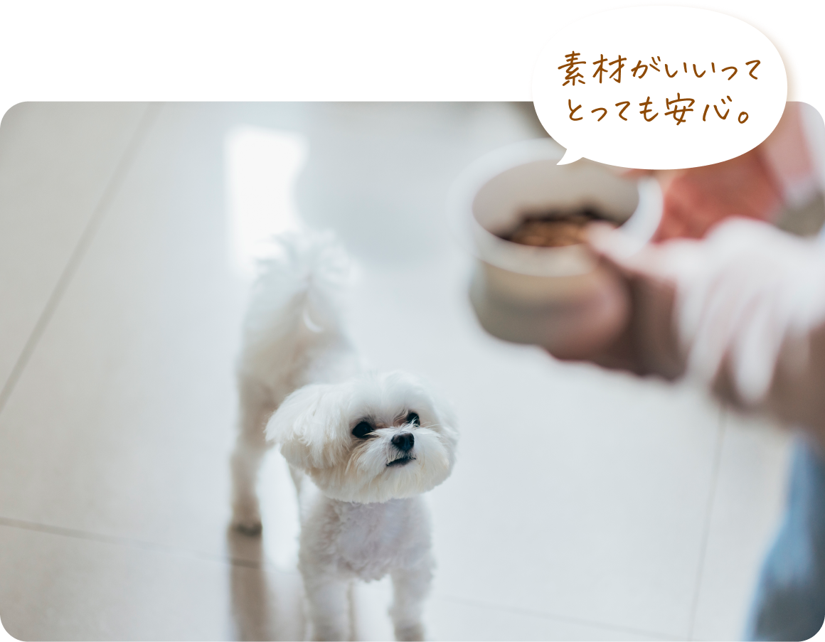 素材がいいってとっても安心。