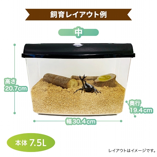 マルカン　ワイドビュー中　グリーン　10個 プラケースワイドビューBL（中）│マルカンの製品一覧｜ペット用品なら