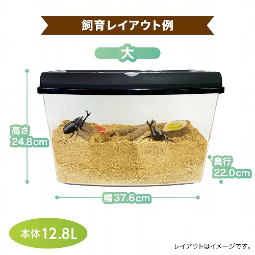 プラケース<br>ワイドビューBL（大）