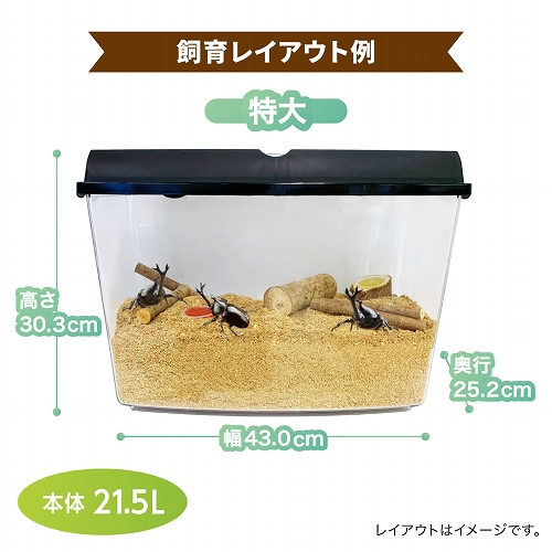 プラケース<br>ワイドビューBL（特大）