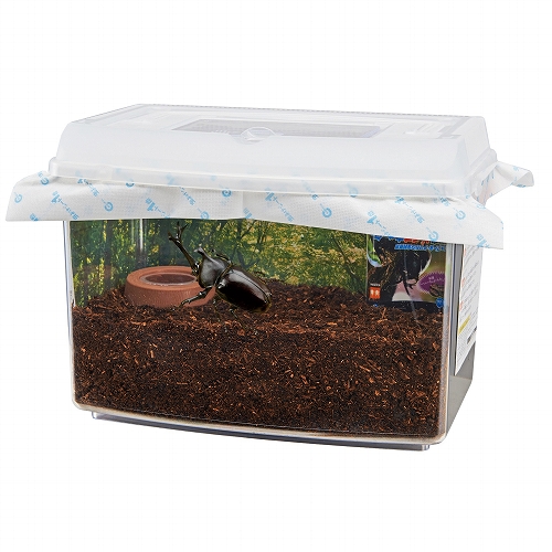 カブト虫・クワガタ虫<br>カンタン飼育セット