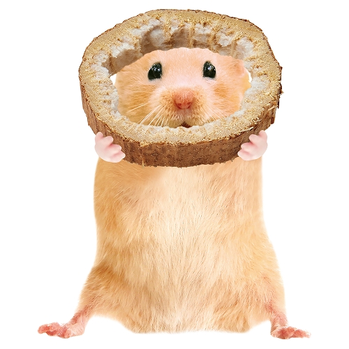 ひまわりスライス