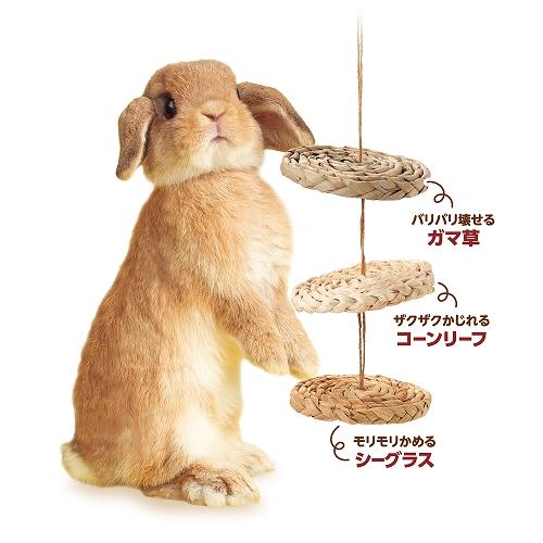 バラエティディスク