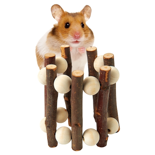 果実って小枝<br>りんごフェンス　Ｓ