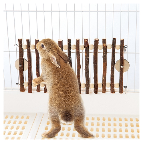 果実って小枝<br>りんごフェンス　Ｍ