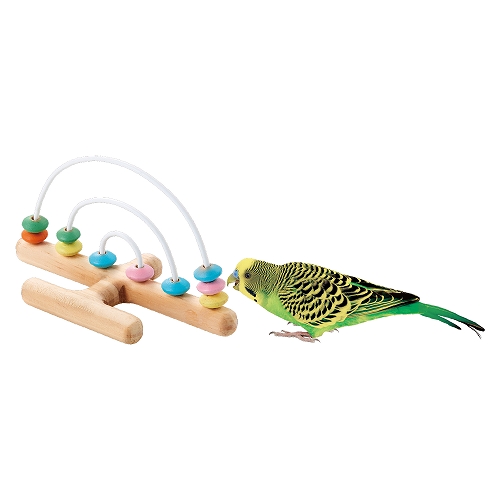 バードカーニバル<br>あっちこっちアーチ