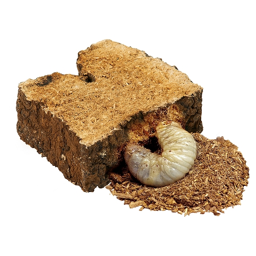 スーパーくち木ブロック　ミニ