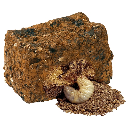 スーパーくち木ブロック