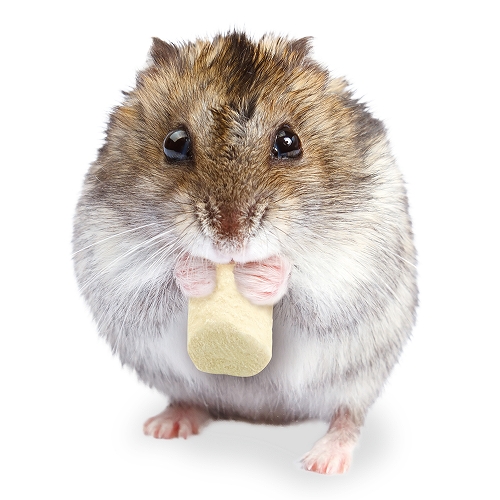 ＨＡＭＳ　フリーズドライ鶏ささみ<br>チーズ入り