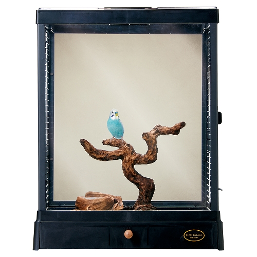 バードパレス　ジオラマパーチ　Ｍ<br>ダークブラウン