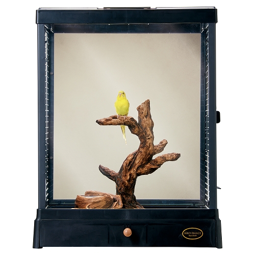 バードパレス　ジオラマパーチ　Ｌ<br>ダークブラウン