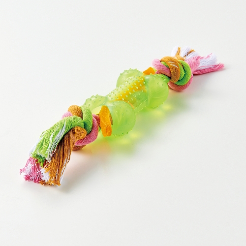 熱血遊び隊！ほね＆ロープ