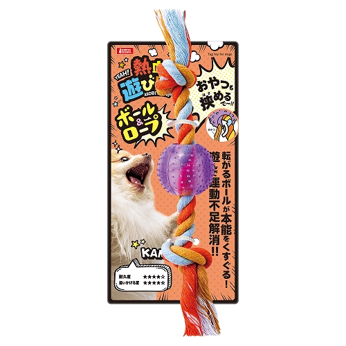 熱血遊び隊！ボール＆ロープ