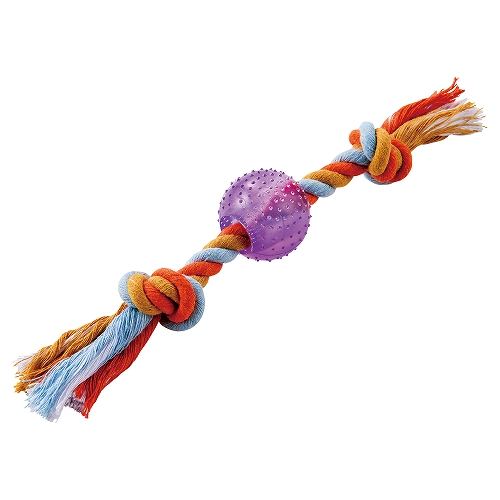 熱血遊び隊！ボール＆ロープ