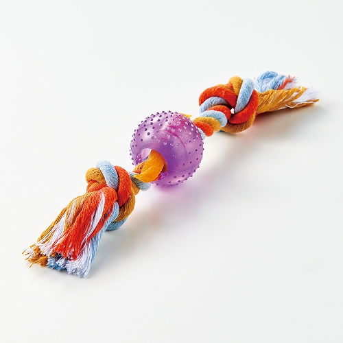 熱血遊び隊！ボール＆ロープ