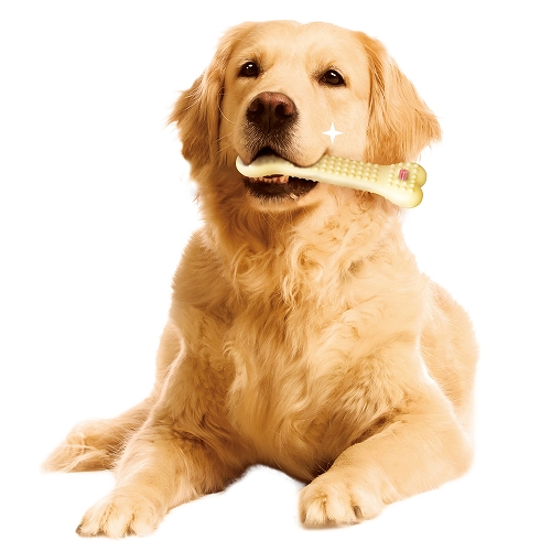 ゴン太のデンタルトイ<br>かむピカコーン L チキン風味