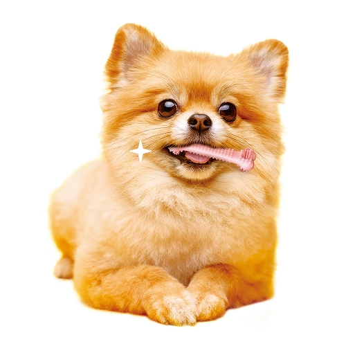 ゴン太のデンタルトイ<br>かむピカコーン　ＳＳ　いちごミルク風味