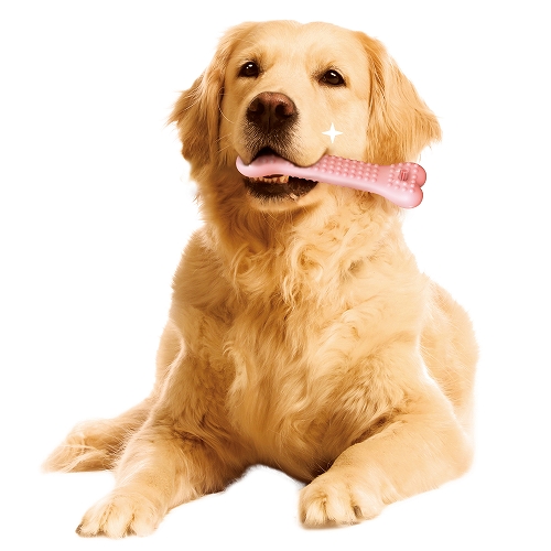 ゴン太のデンタルトイ<br>かむピカコーン　Ｌ　いちごミルク風味