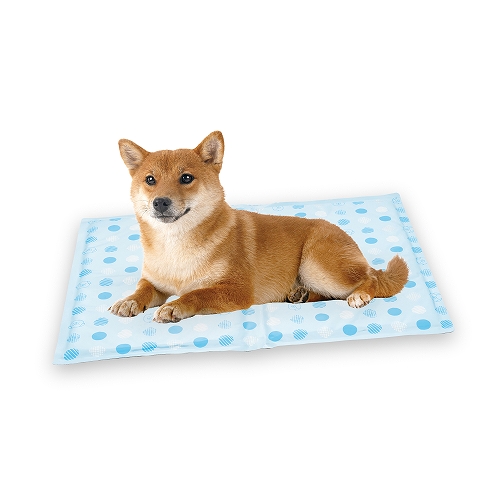 ひんやりアルミジェルマット　２Ｌ