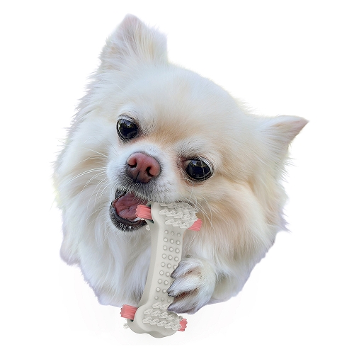 ゴン太のデンタルトイ<br>かむピカボーンSS