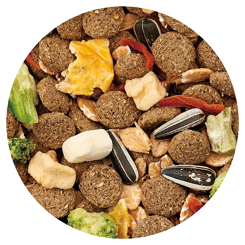 ＷｅｌｌＨａｍ<br>おおきなハムスターの<br>主食ミックス　贅沢素材添え　お徳用