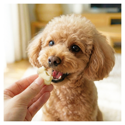 レンジＤＥわんわん<br>パンケーキミックス　ミルク風味