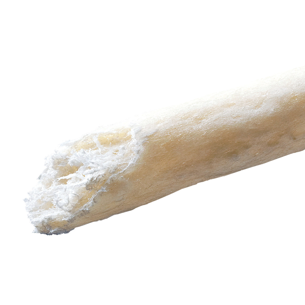 ゴン太の歯磨き専用ガムブレスクリアアパタイトカルシウム入り Ｌ
