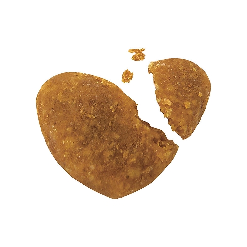 ニャン太の歯磨き専用おやつ<br>L8020乳酸菌入り<br>カリっとドライ　チキン味