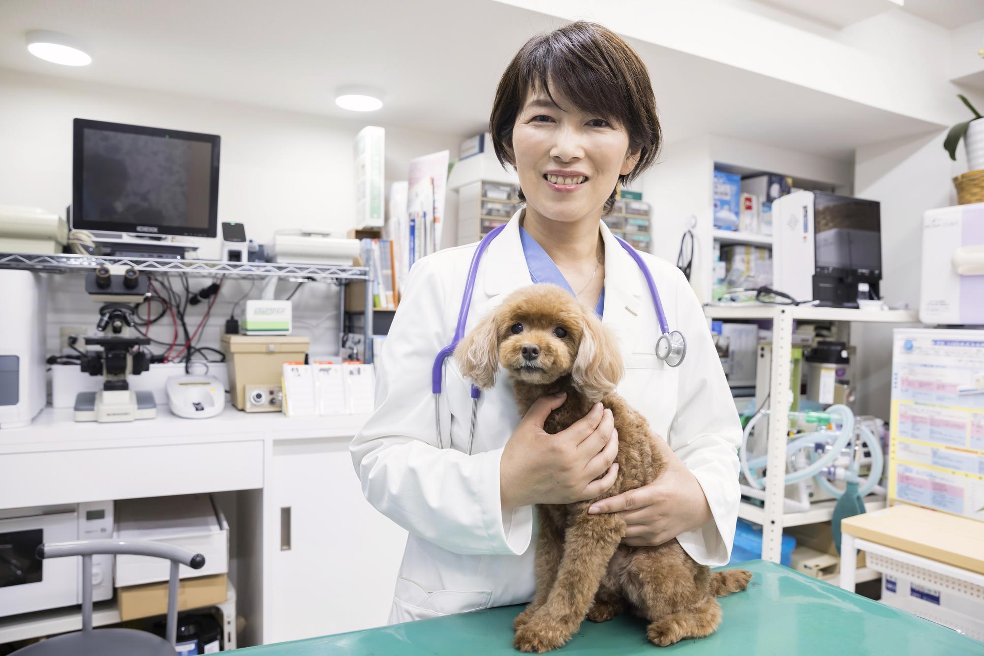 処置台の上で女性獣医師に抱えられている犬