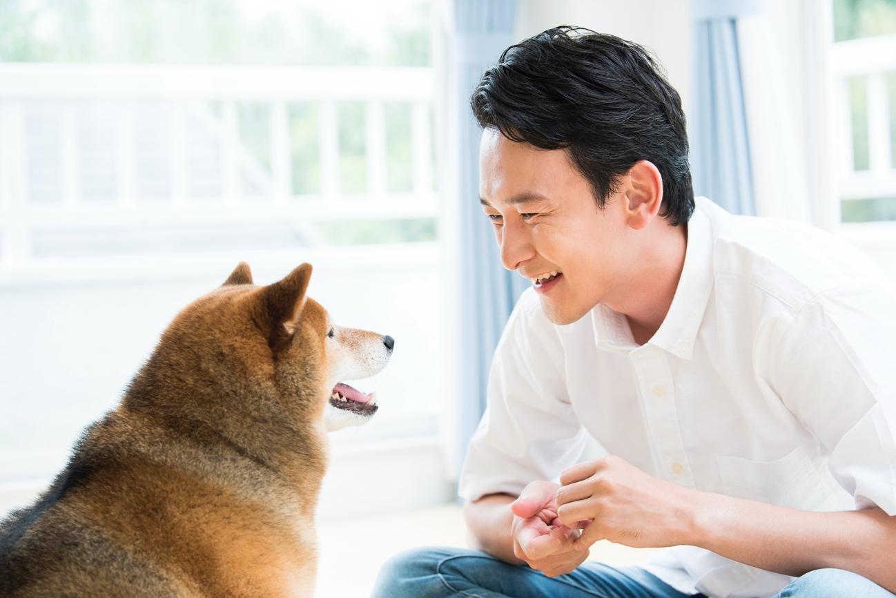 犬とアイコンタクトを交わす笑顔の男性