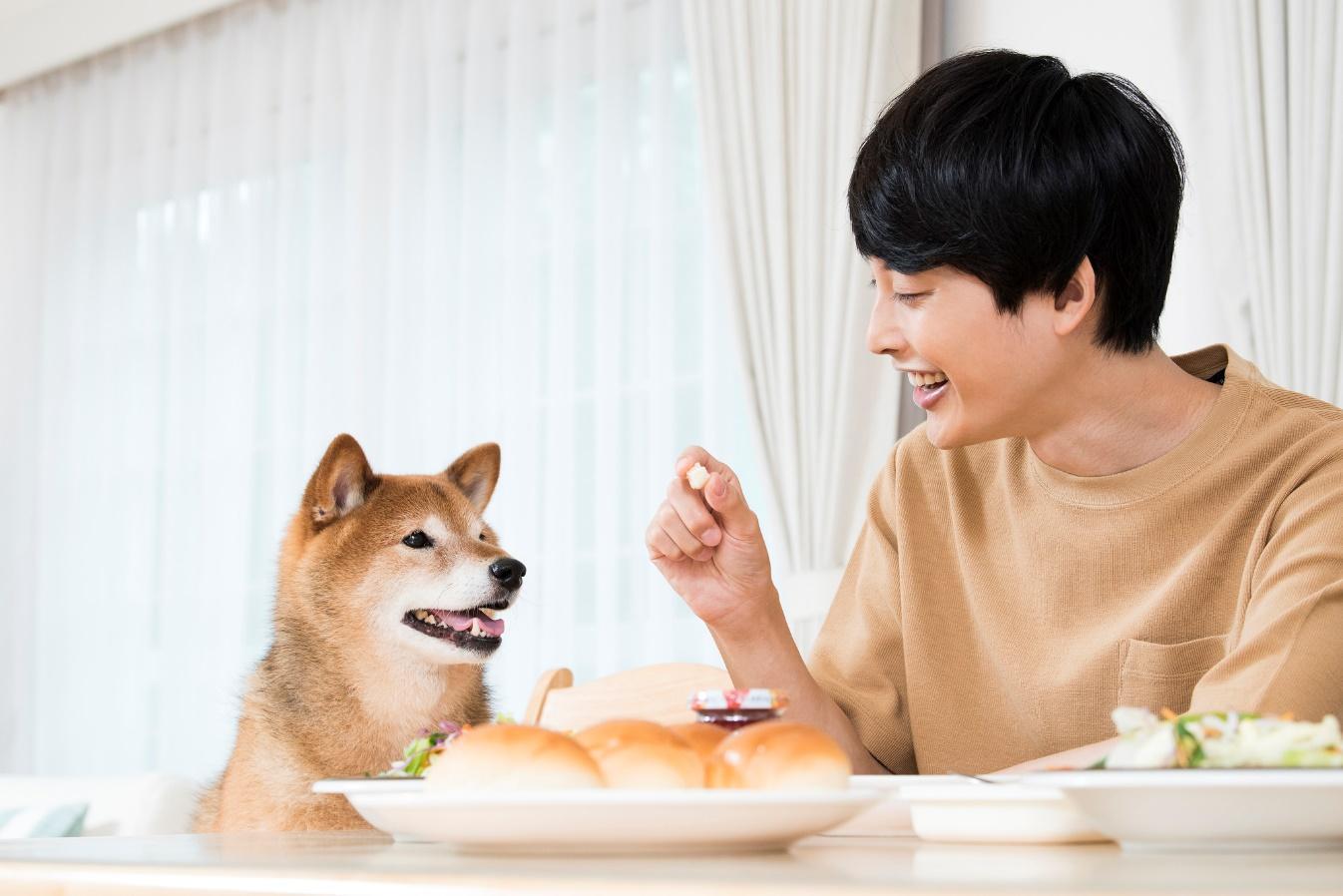 【専門家監修】犬が食べてはいけないものとは？食べてしまったときの対処法も