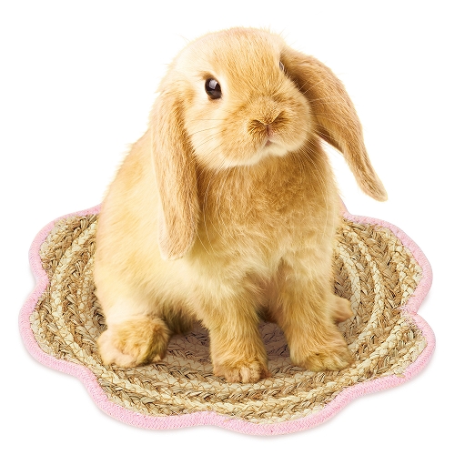 小動物の用品（マット）