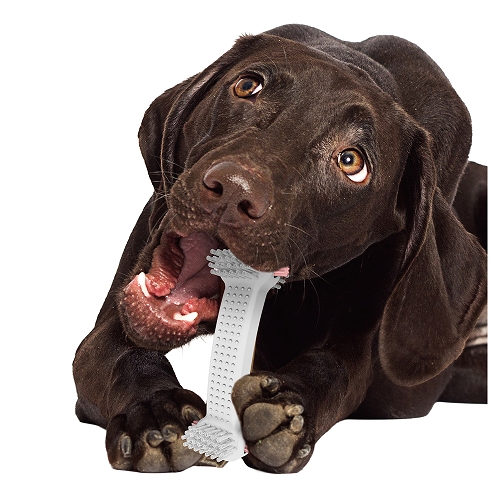 犬のデンタルトイ